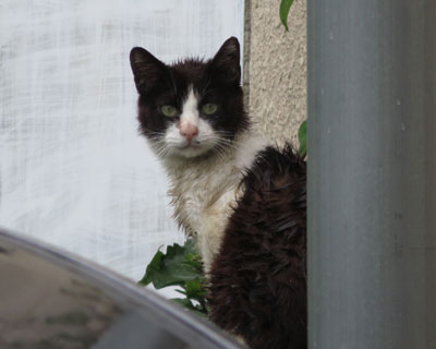 �����ꏊ�ł܂����������