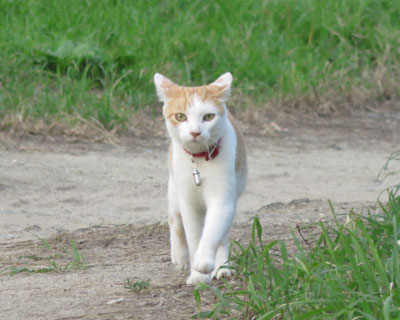 ���U�����~�o