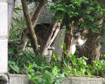 ������˂�