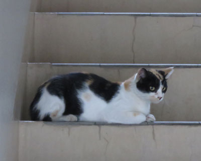 �����O�т����