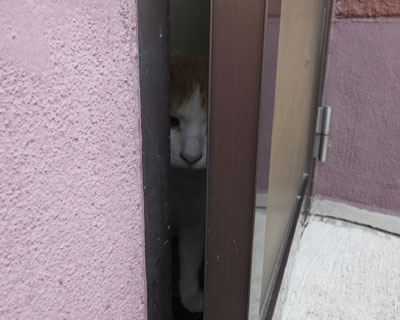 ���ԂɃX���X�������