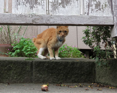 �����Ńr�r��