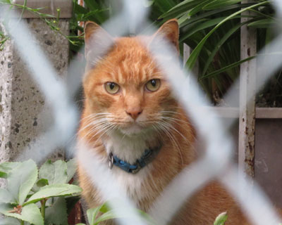 �����q�H