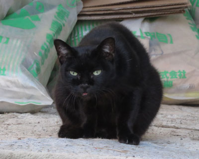 ��A�o�Ă܂�