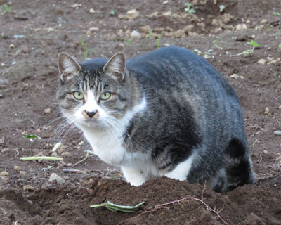 ���ߏI���