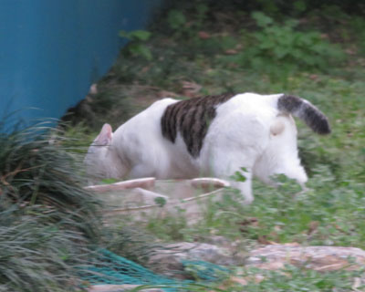 �������đ��荞��