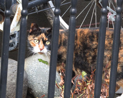 �悭��Z���O�т����