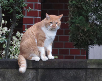 �����Ō������߂���