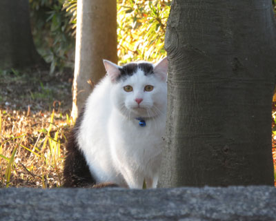 �����������������Ă�̂�