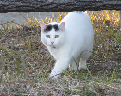 �킴�킴���Ă���