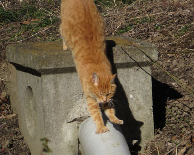 ���M�I��