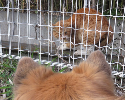 �ۂ������Ɏ�����