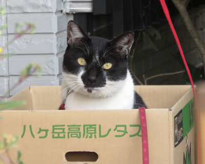 �������^�X