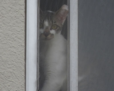 �܂�����