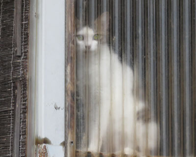 �O�̕��u�ɂ�����