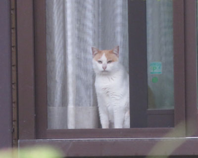 �[���̂��ߔL