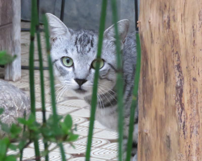 �@�������