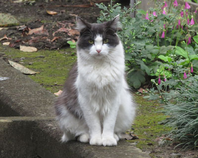 �^�k�L�����ۂ����