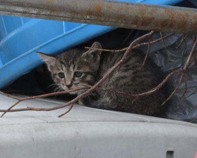 �������������