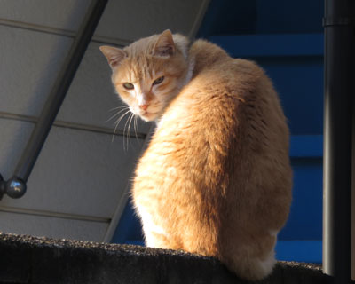 �N�ɂł��X���X��