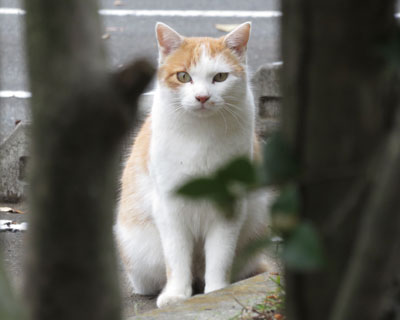 ���ʁE�E�E