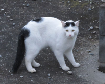 ���^����