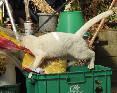 �S�~��������