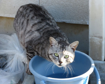 �܂�����ł�