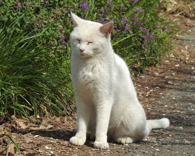 �����E�E�E