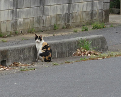 �����ɍs���Ȃ���