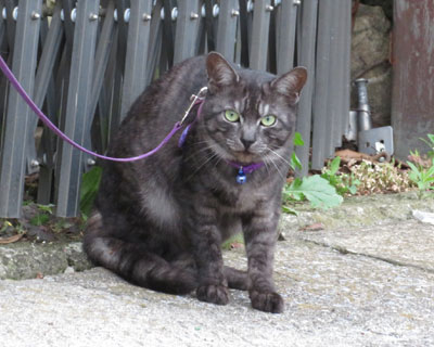 �Ȃ����Ȃ����Ă�˂�