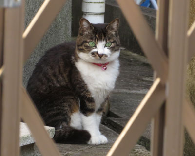 �����r�b�N����̊��ڂ����