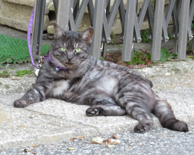 �܂��Ȃ����Ă�