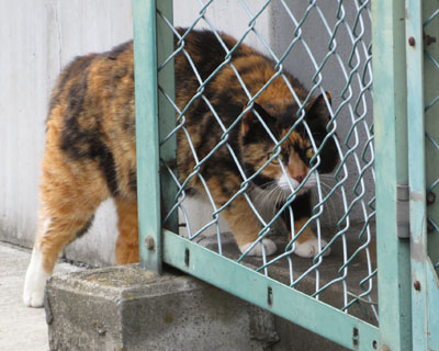 �܂��ł܂�O�т����