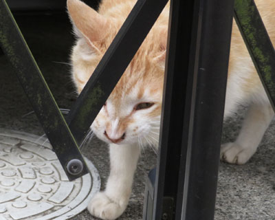 �j���[�j���[������