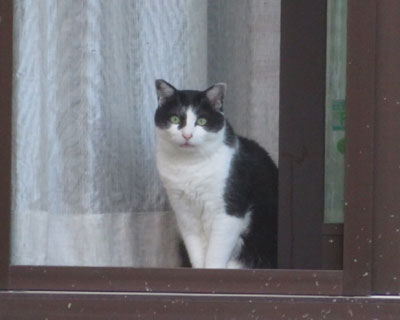 �[���̂��ߔL