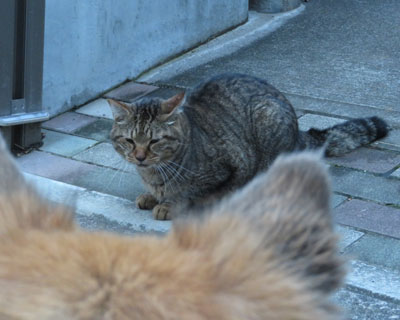 �܂����ߋ����ŋ�����