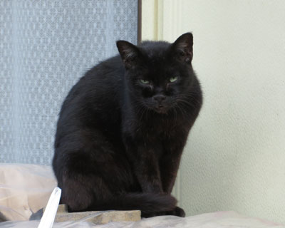 ���N�U�ۂ�