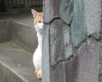 �����B���