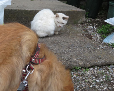 ���ւ˂��͂��Ɠ����Ȃ�