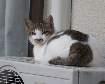 ���O�@�˂�