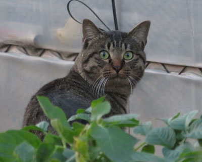 �r�b�N����