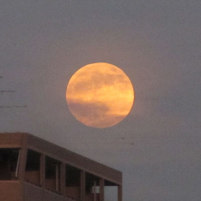 �o�n�߂͏����܂��Ă�