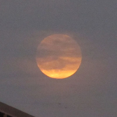 ���Ă�Ԃɂ���ɓ܂���