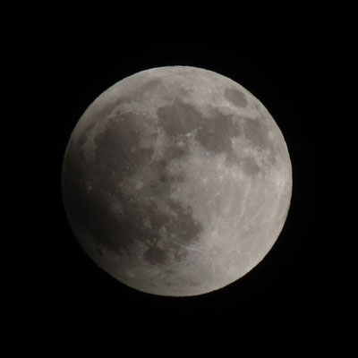 �X�������A������������