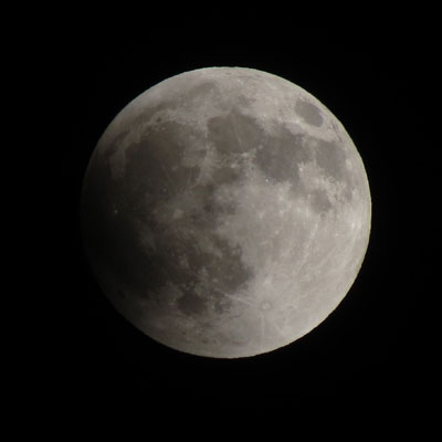 �T�����炢���Ă����ƍ�����