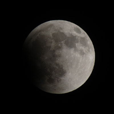 �����Ă���