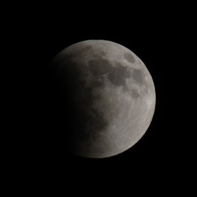 �P�O���A�����Ԍ�����