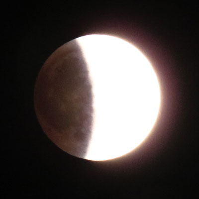 �ۂ����Ă݂�