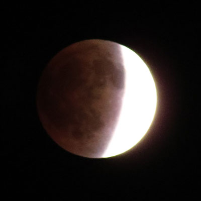 �n���Ƃ�薾�邢����